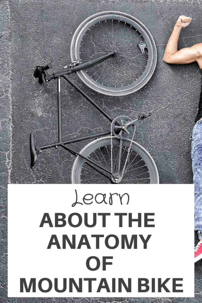 anatomy of the mountain bike